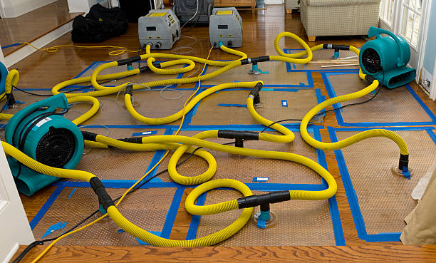 Professional Burst Pipe Water Damage technician working in Gardner, ND